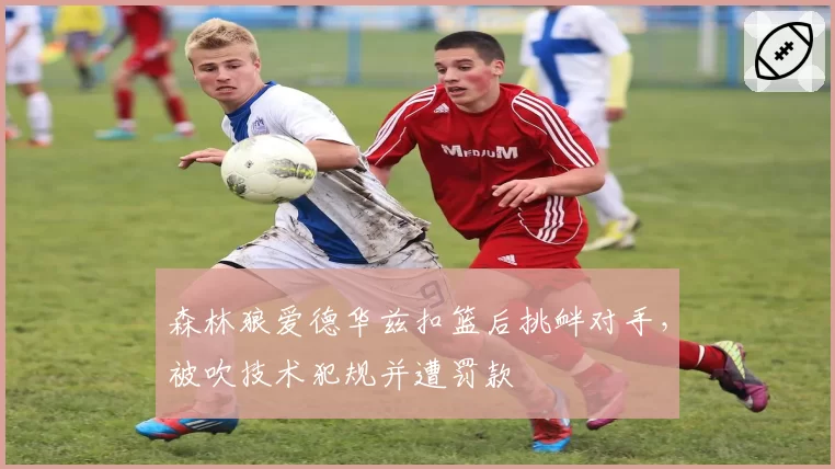 森林狼爱德华兹扣篮后挑衅对手,被吹技术犯规并遭罚款